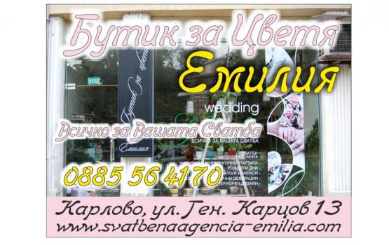 main img
